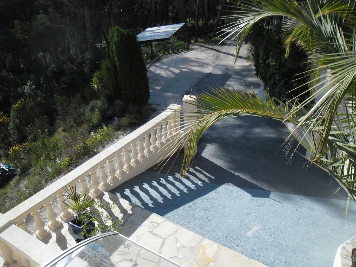 Charmante Villa A 15 Min De Nice Avec Piscine Blausasc Dış mekan fotoğraf
